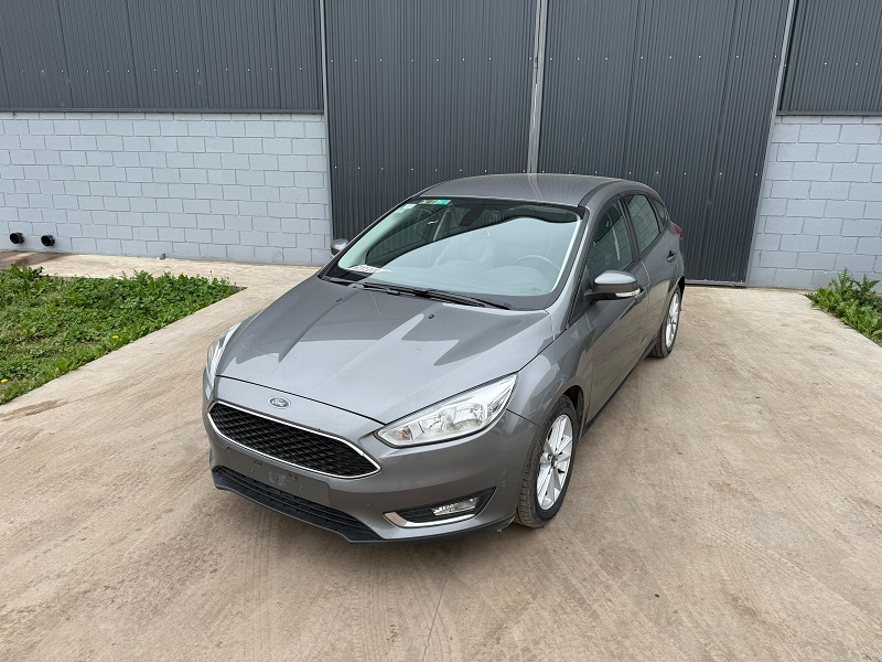 Focus SE